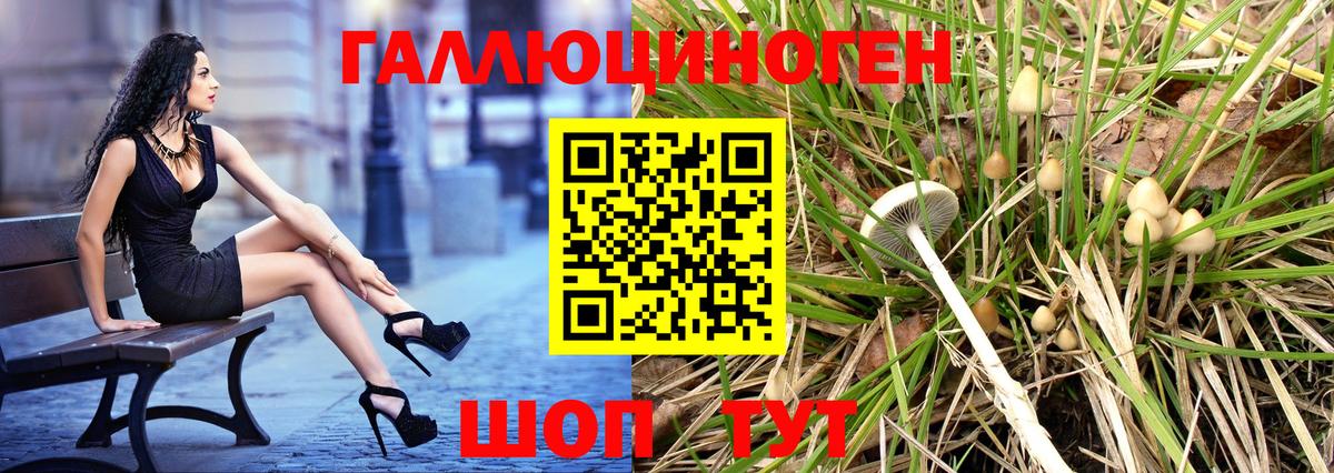 Сокол  Псилоцибиновые грибы MAGIC MUSHROOMS  Вход с VPN 